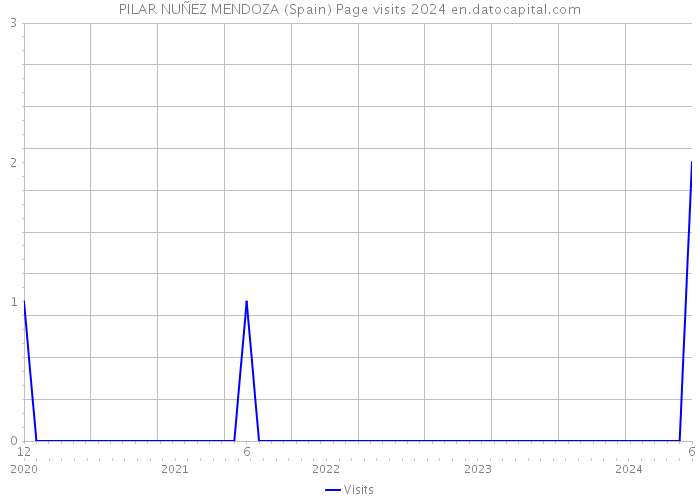PILAR NUÑEZ MENDOZA (Spain) Page visits 2024 