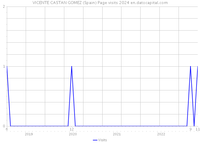 VICENTE CASTAN GOMEZ (Spain) Page visits 2024 