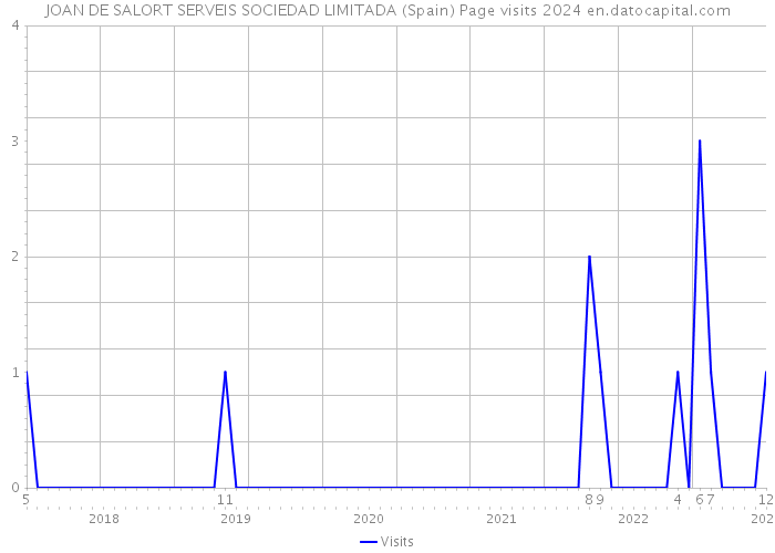 JOAN DE SALORT SERVEIS SOCIEDAD LIMITADA (Spain) Page visits 2024 