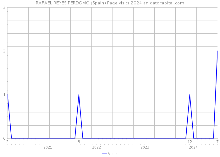 RAFAEL REYES PERDOMO (Spain) Page visits 2024 