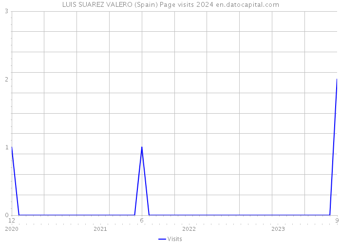 LUIS SUAREZ VALERO (Spain) Page visits 2024 