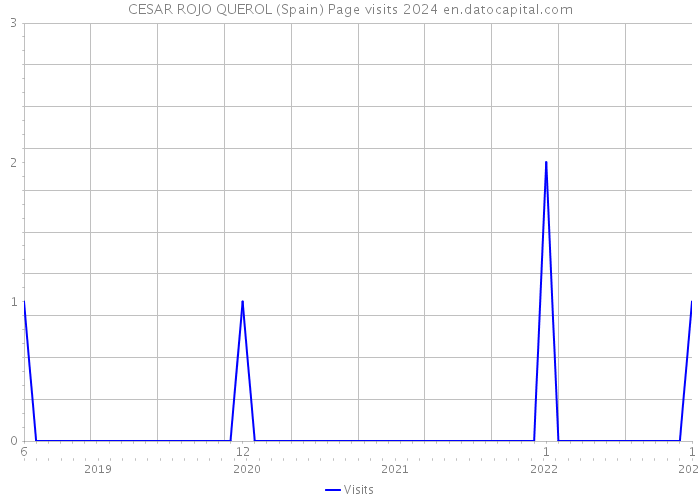CESAR ROJO QUEROL (Spain) Page visits 2024 