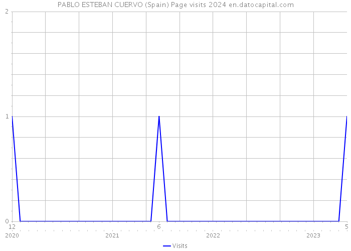 PABLO ESTEBAN CUERVO (Spain) Page visits 2024 