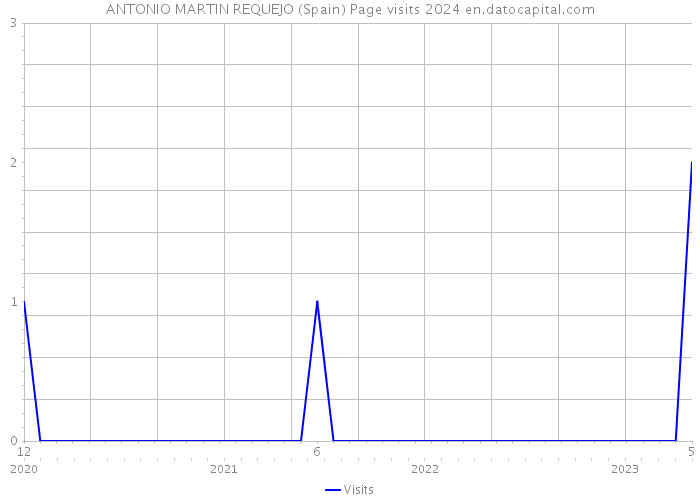ANTONIO MARTIN REQUEJO (Spain) Page visits 2024 