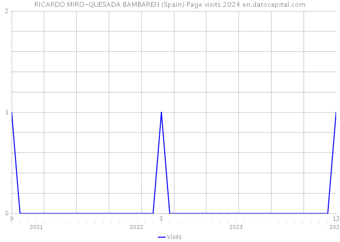 RICARDO MIRO-QUESADA BAMBAREN (Spain) Page visits 2024 