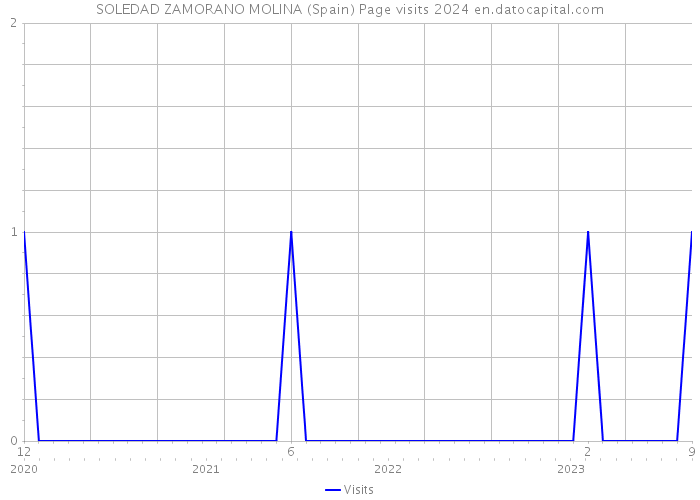 SOLEDAD ZAMORANO MOLINA (Spain) Page visits 2024 