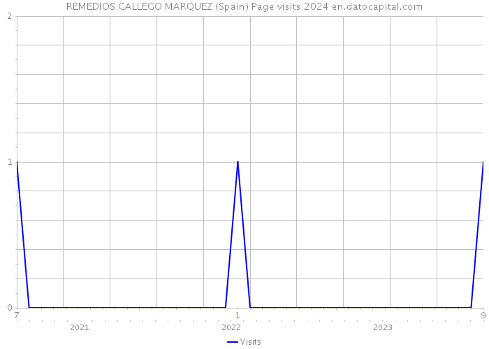 REMEDIOS GALLEGO MARQUEZ (Spain) Page visits 2024 