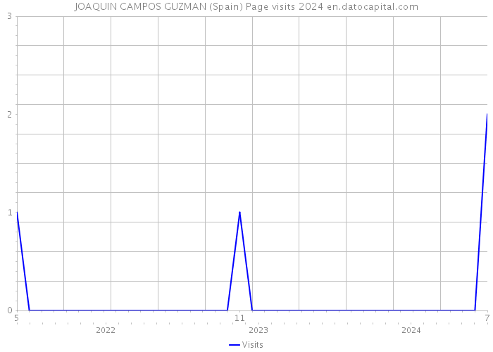 JOAQUIN CAMPOS GUZMAN (Spain) Page visits 2024 