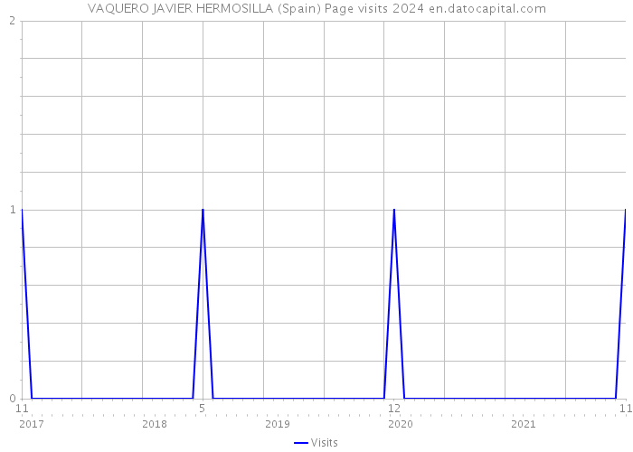 VAQUERO JAVIER HERMOSILLA (Spain) Page visits 2024 