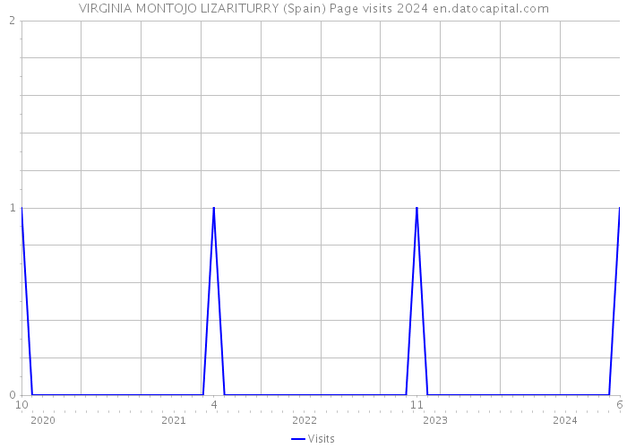 VIRGINIA MONTOJO LIZARITURRY (Spain) Page visits 2024 