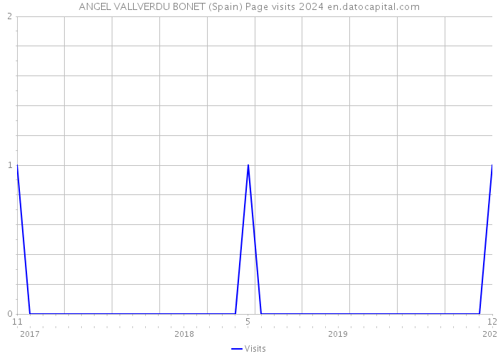 ANGEL VALLVERDU BONET (Spain) Page visits 2024 