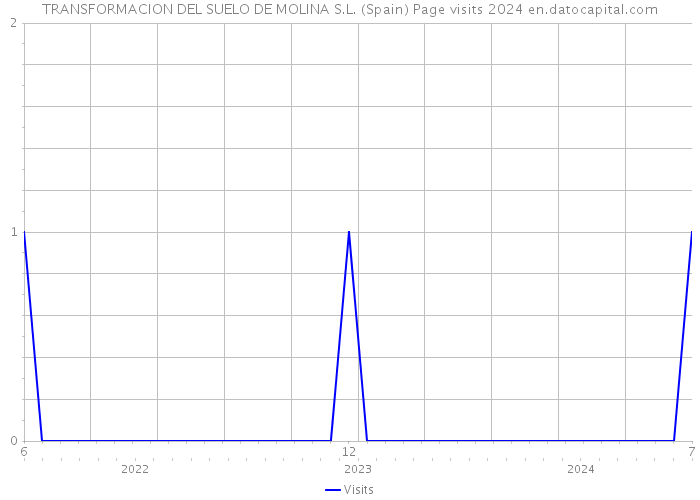 TRANSFORMACION DEL SUELO DE MOLINA S.L. (Spain) Page visits 2024 