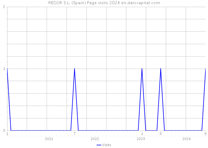 REGOR S.L. (Spain) Page visits 2024 