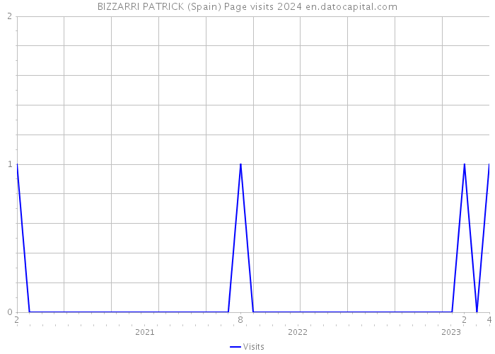 BIZZARRI PATRICK (Spain) Page visits 2024 