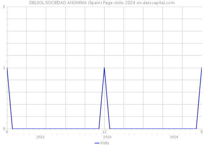 DELSOL SOCIEDAD ANONIMA (Spain) Page visits 2024 