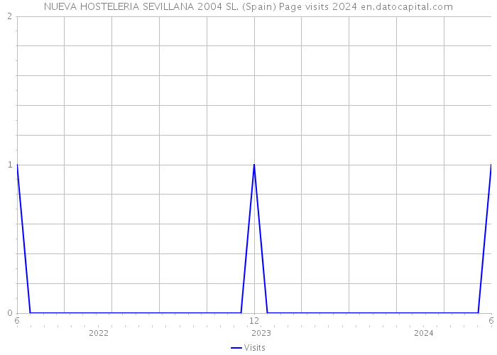 NUEVA HOSTELERIA SEVILLANA 2004 SL. (Spain) Page visits 2024 