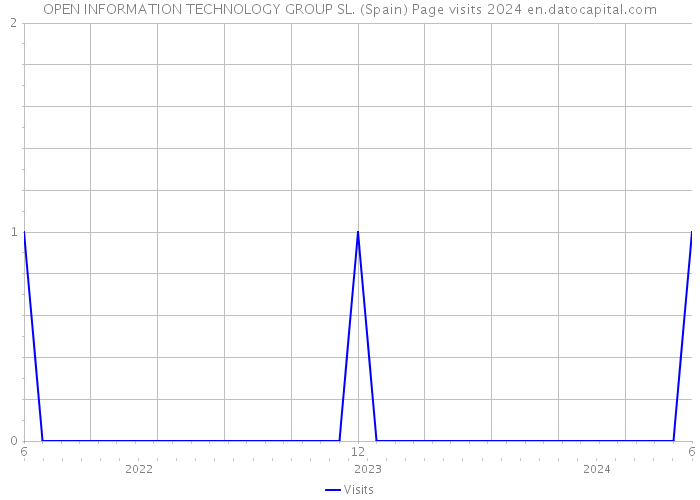 OPEN INFORMATION TECHNOLOGY GROUP SL. (Spain) Page visits 2024 