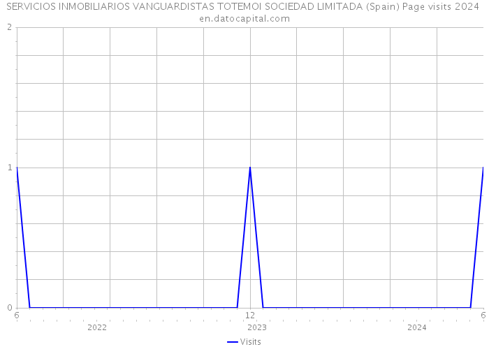 SERVICIOS INMOBILIARIOS VANGUARDISTAS TOTEMOI SOCIEDAD LIMITADA (Spain) Page visits 2024 