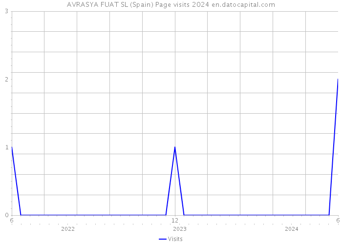 AVRASYA FUAT SL (Spain) Page visits 2024 