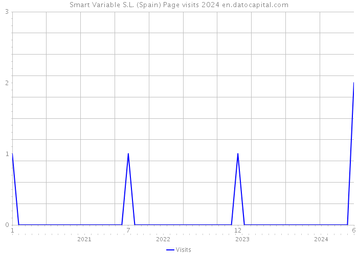 Smart Variable S.L. (Spain) Page visits 2024 