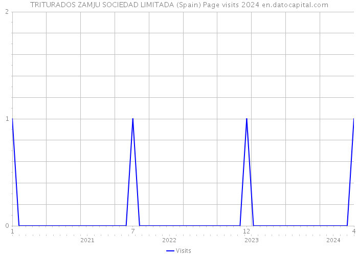 TRITURADOS ZAMJU SOCIEDAD LIMITADA (Spain) Page visits 2024 