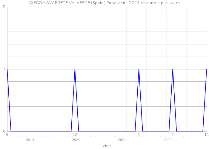 DIEGO NAVARRETE VALVERDE (Spain) Page visits 2024 