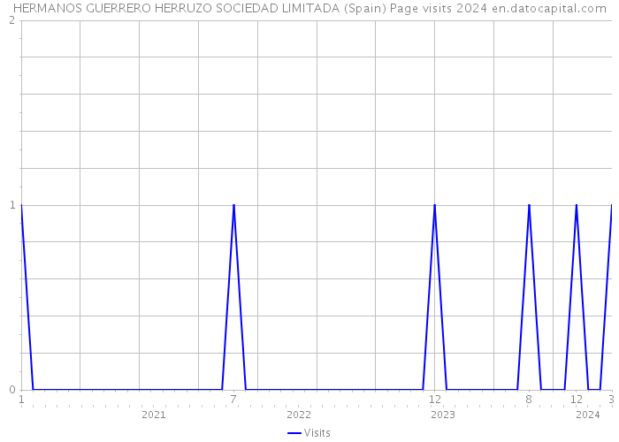 HERMANOS GUERRERO HERRUZO SOCIEDAD LIMITADA (Spain) Page visits 2024 