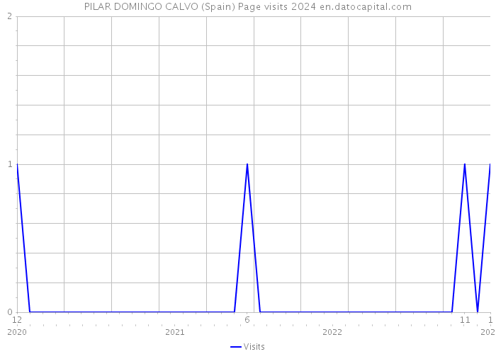 PILAR DOMINGO CALVO (Spain) Page visits 2024 