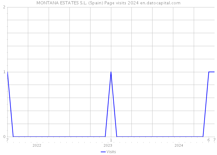 MONTANA ESTATES S.L. (Spain) Page visits 2024 