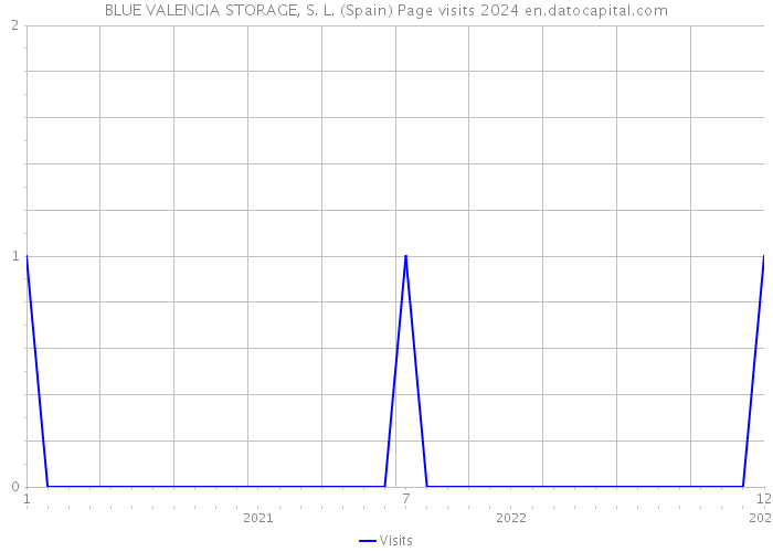 BLUE VALENCIA STORAGE, S. L. (Spain) Page visits 2024 