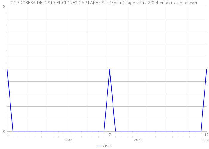 CORDOBESA DE DISTRIBUCIONES CAPILARES S.L. (Spain) Page visits 2024 