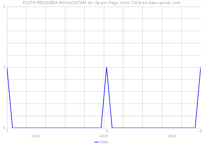 FLOTA PESQUERA MOGACATAM SA (Spain) Page visits 2024 