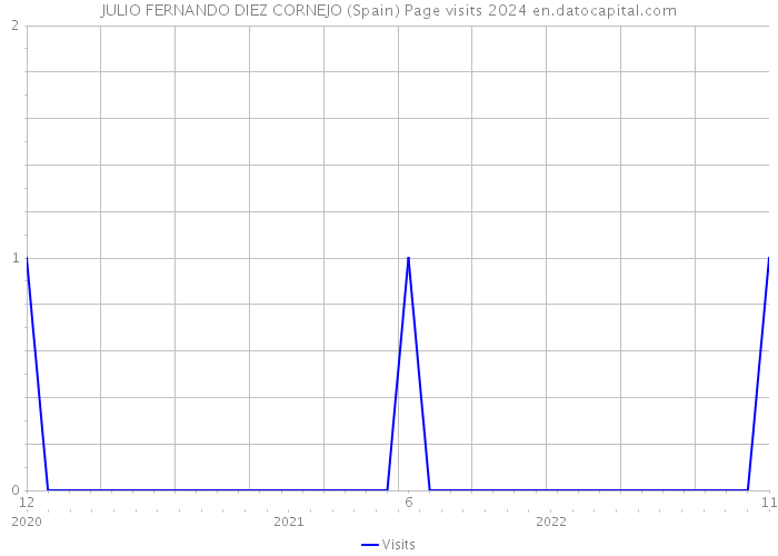 JULIO FERNANDO DIEZ CORNEJO (Spain) Page visits 2024 