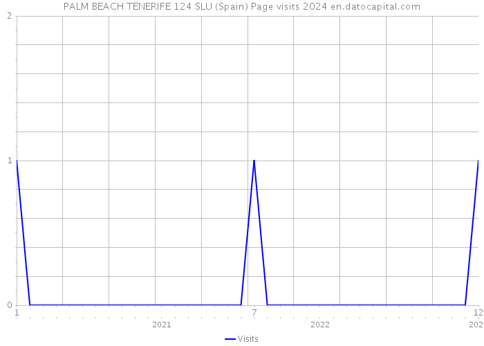 PALM BEACH TENERIFE 124 SLU (Spain) Page visits 2024 