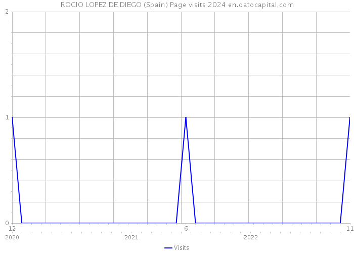 ROCIO LOPEZ DE DIEGO (Spain) Page visits 2024 