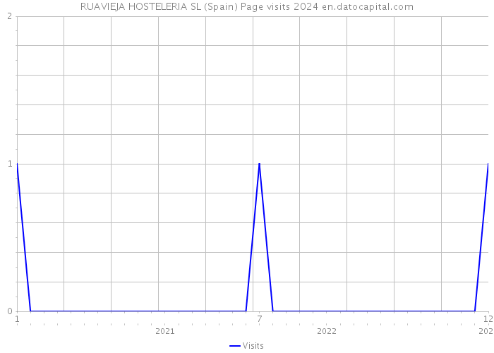 RUAVIEJA HOSTELERIA SL (Spain) Page visits 2024 