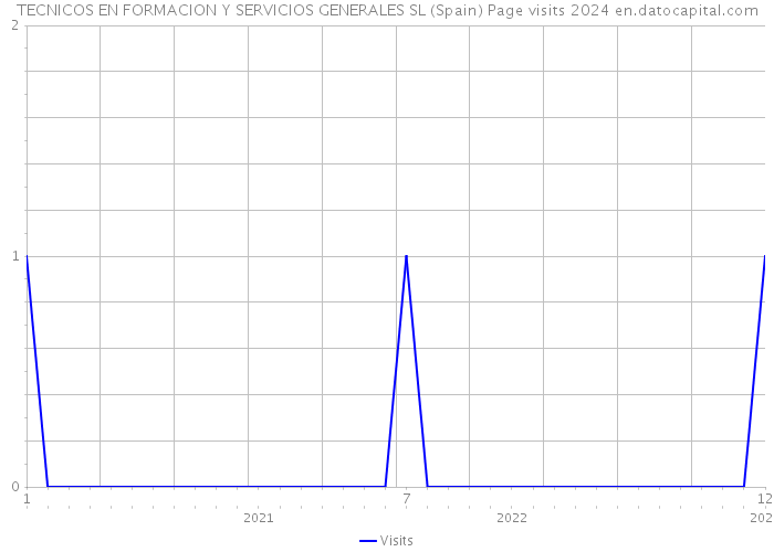 TECNICOS EN FORMACION Y SERVICIOS GENERALES SL (Spain) Page visits 2024 