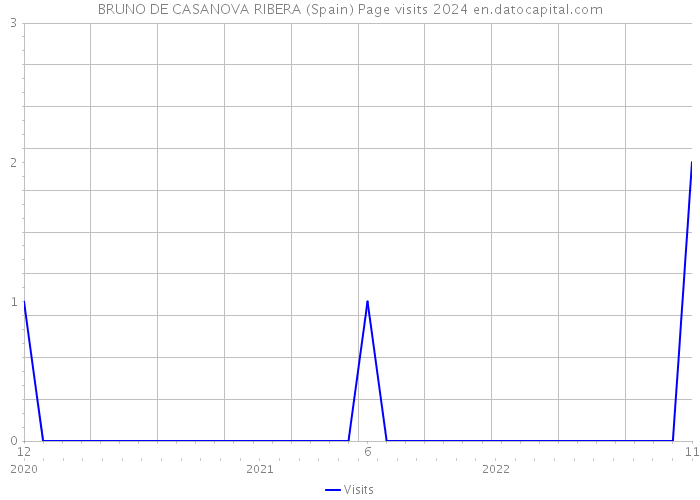 BRUNO DE CASANOVA RIBERA (Spain) Page visits 2024 