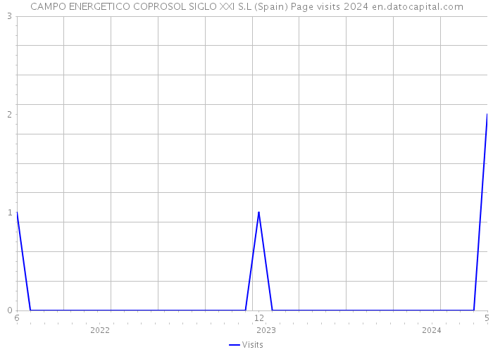 CAMPO ENERGETICO COPROSOL SIGLO XXI S.L (Spain) Page visits 2024 