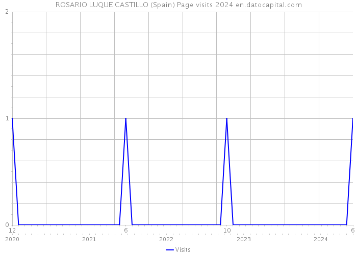 ROSARIO LUQUE CASTILLO (Spain) Page visits 2024 
