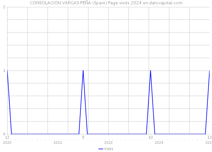 CONSOLACION VARGAS PEÑA (Spain) Page visits 2024 