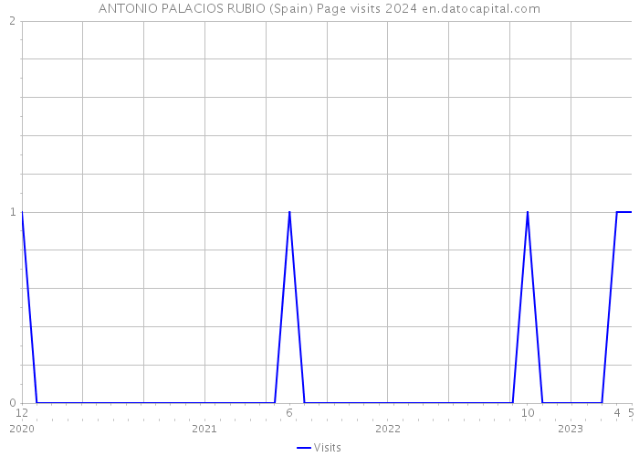 ANTONIO PALACIOS RUBIO (Spain) Page visits 2024 
