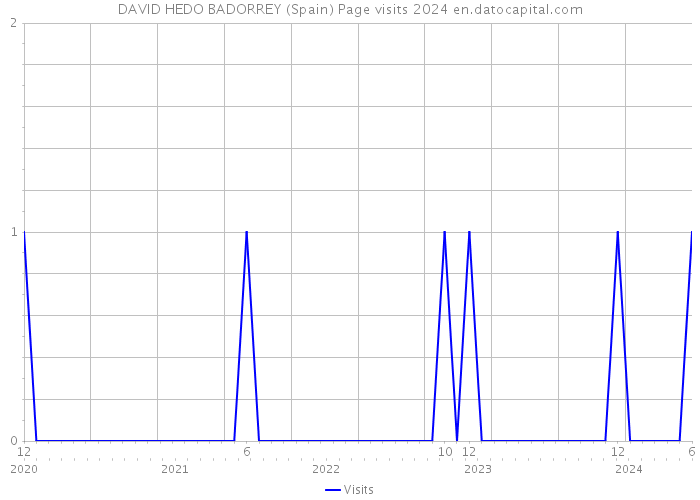 DAVID HEDO BADORREY (Spain) Page visits 2024 