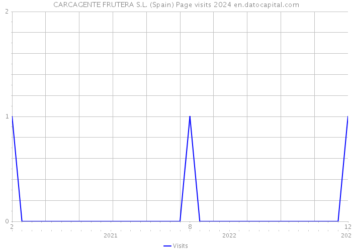 CARCAGENTE FRUTERA S.L. (Spain) Page visits 2024 