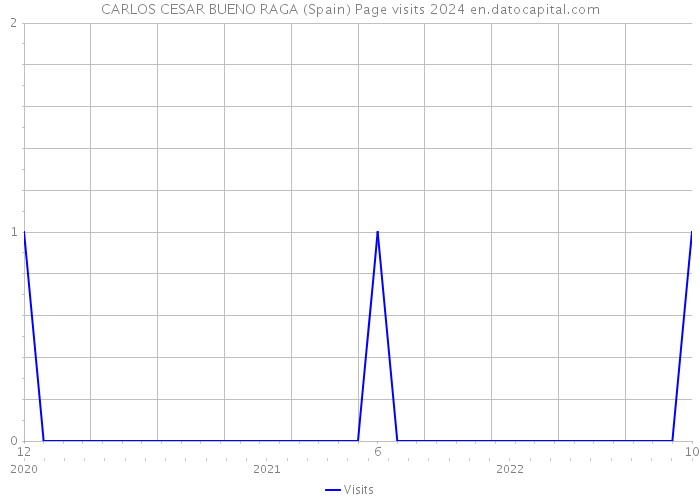 CARLOS CESAR BUENO RAGA (Spain) Page visits 2024 