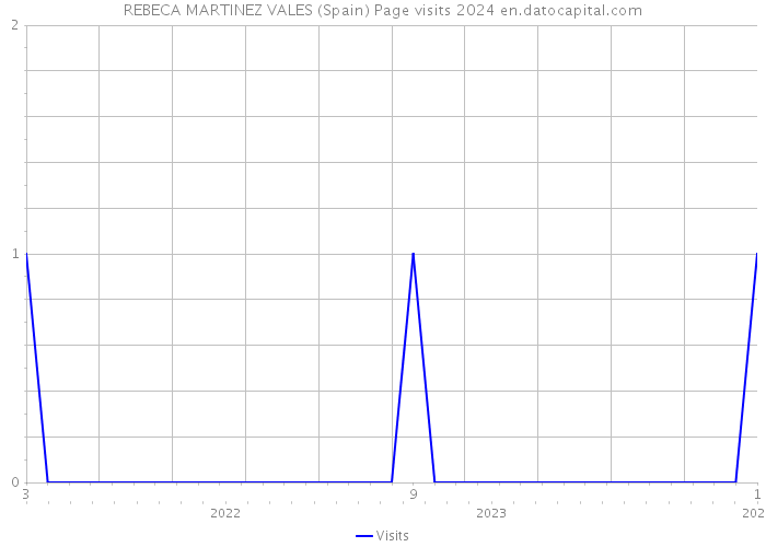 REBECA MARTINEZ VALES (Spain) Page visits 2024 