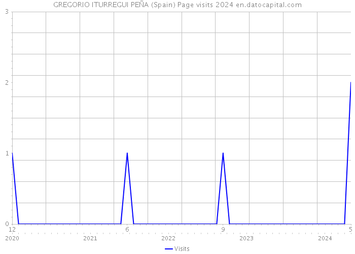 GREGORIO ITURREGUI PEÑA (Spain) Page visits 2024 