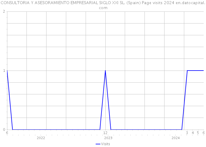 CONSULTORIA Y ASESORAMIENTO EMPRESARIAL SIGLO XXI SL. (Spain) Page visits 2024 
