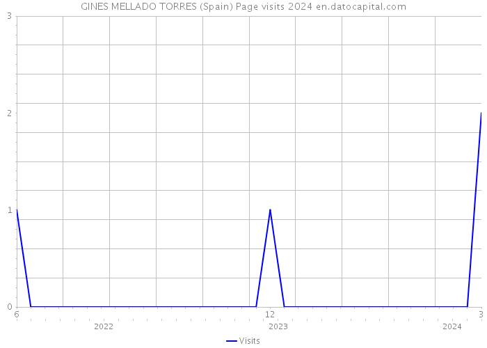 GINES MELLADO TORRES (Spain) Page visits 2024 