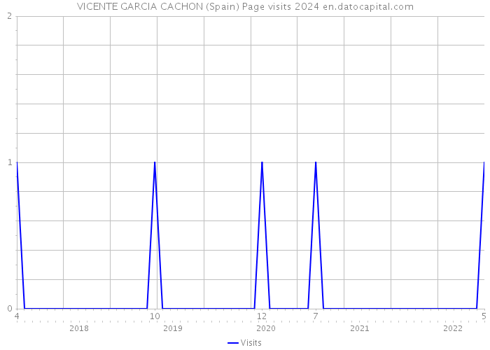 VICENTE GARCIA CACHON (Spain) Page visits 2024 